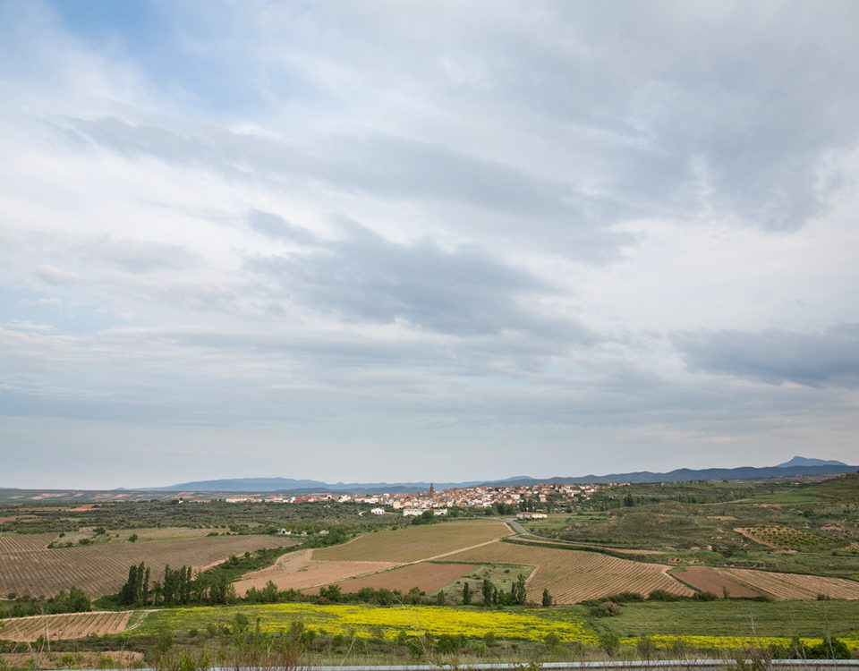 Panorámica de Tudelilla La Rioja donde Bodegas Ortega Ezquerro Elabora sus vinos de calidad