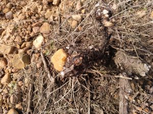 IMG_20180405_154809_121